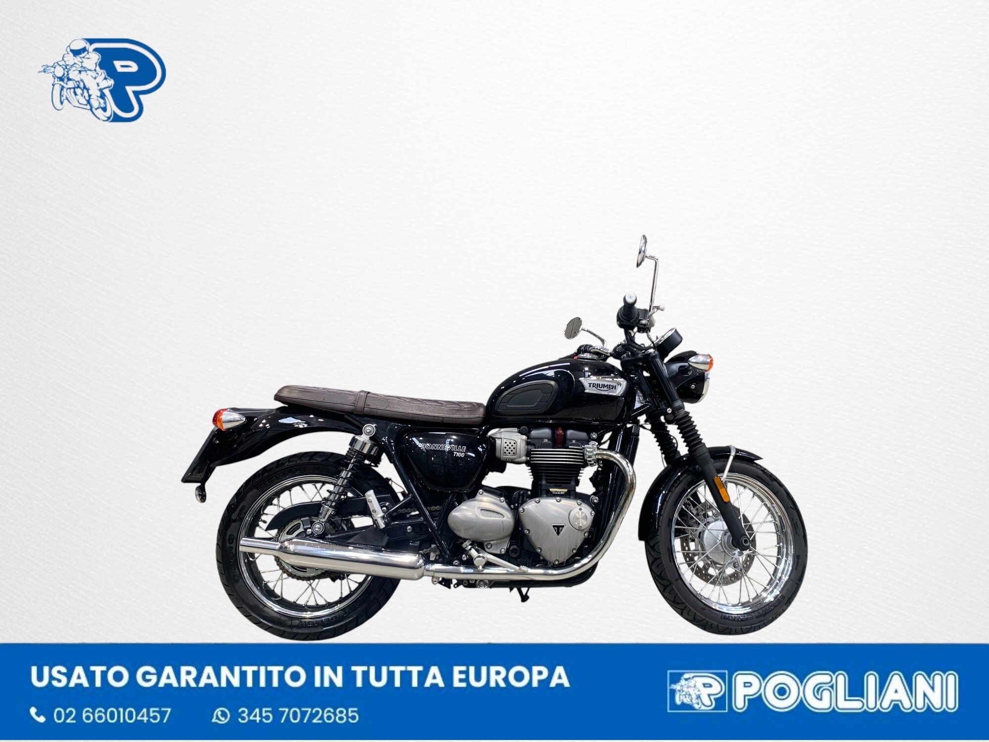 IMG 1638 Photoroom 2025 10 15 T162404 670