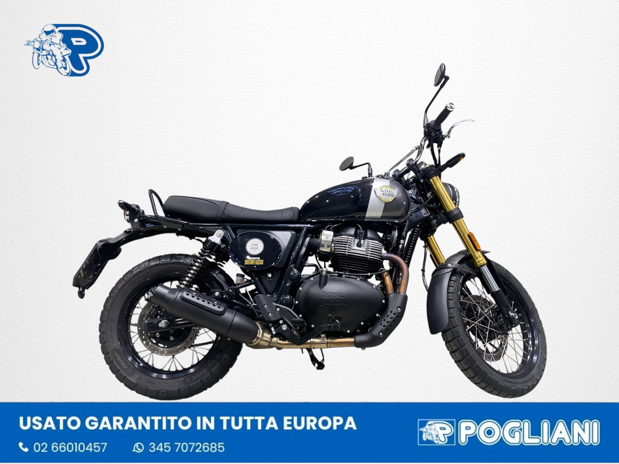 IMG 1638 Photoroom 2025 12 04 T161914 878