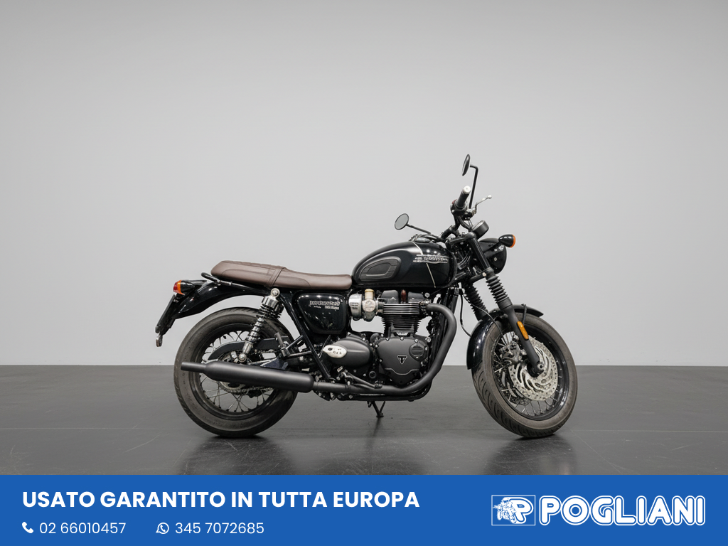 Envato labs image edit 2026 02 19 T171000 036