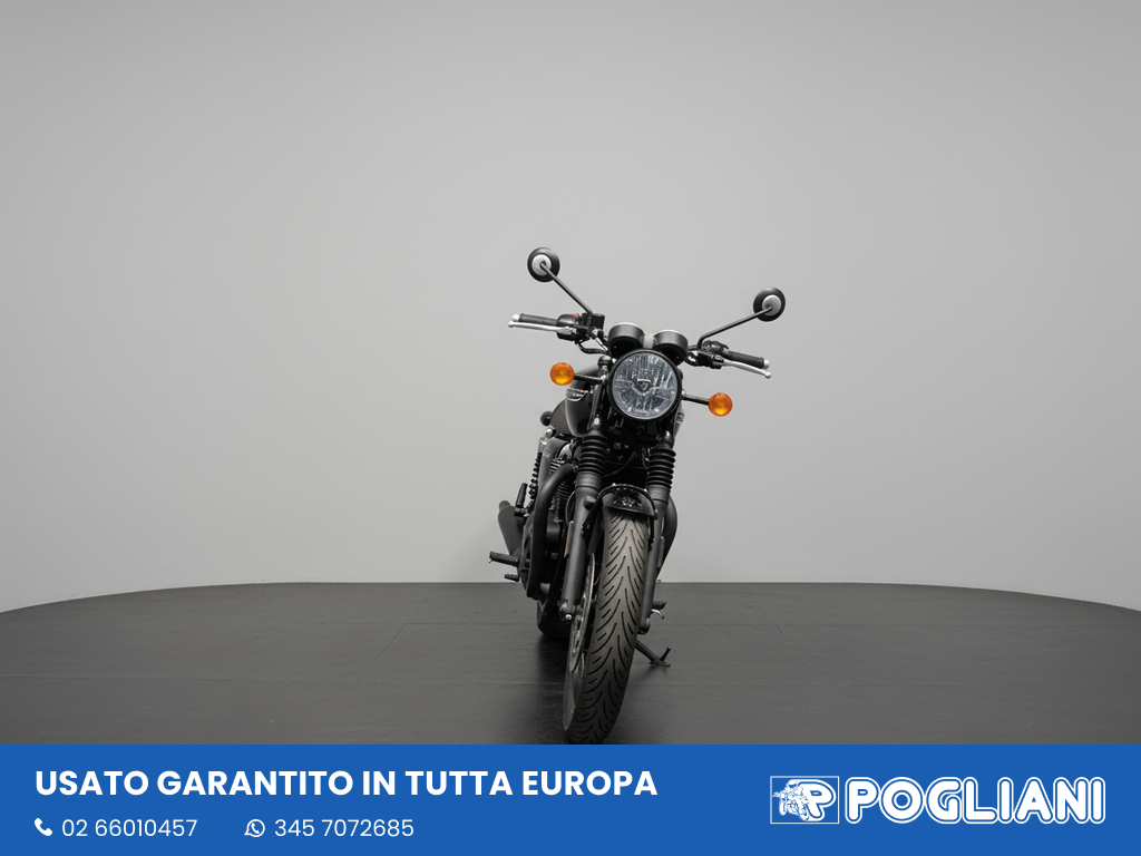 Envato labs image edit 2026 02 19 T171343 344
