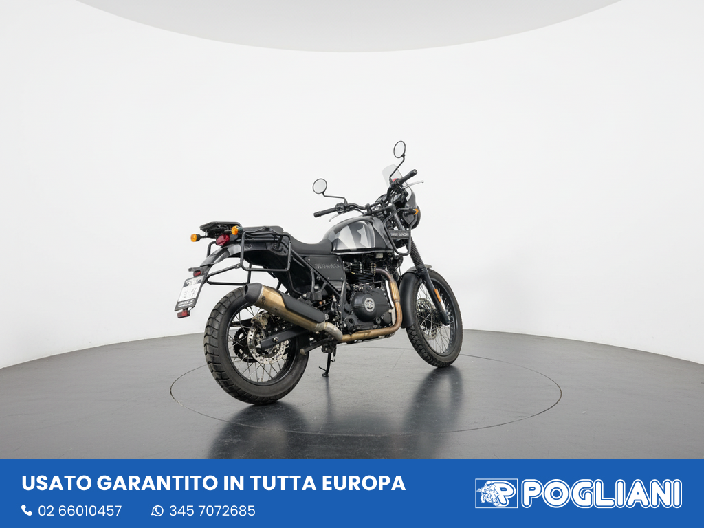 Envato labs image edit 5