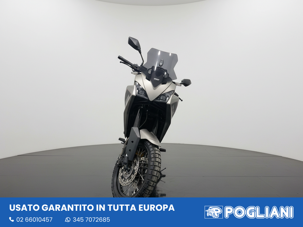 Envato labs image edit 11