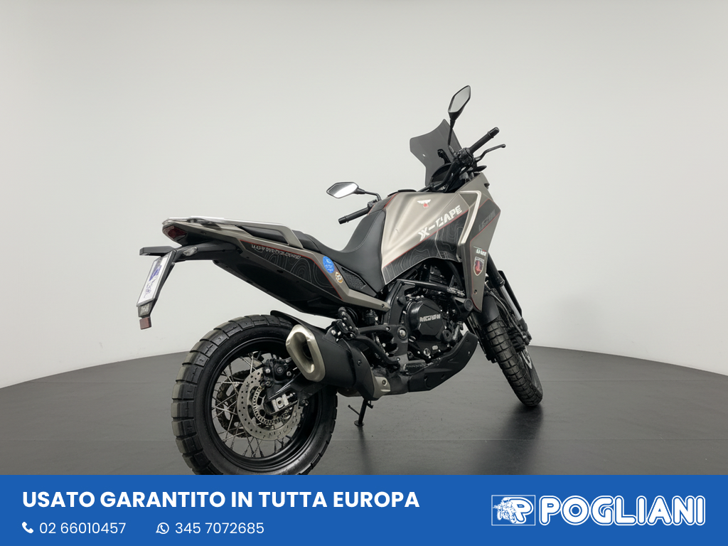 Envato labs image edit 7