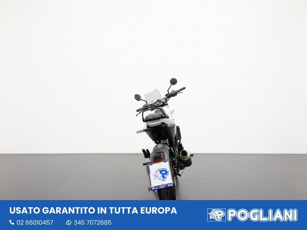 Envato labs image edit 53