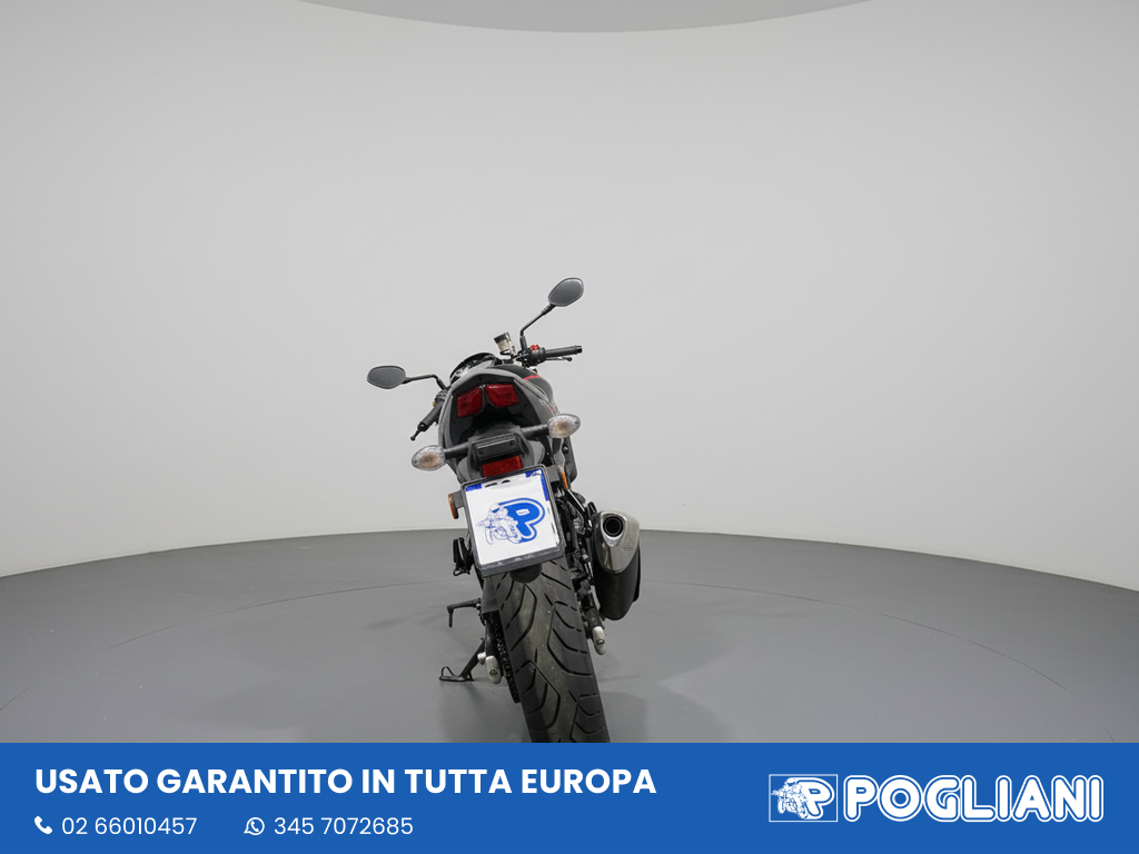 Envato labs image edit 80