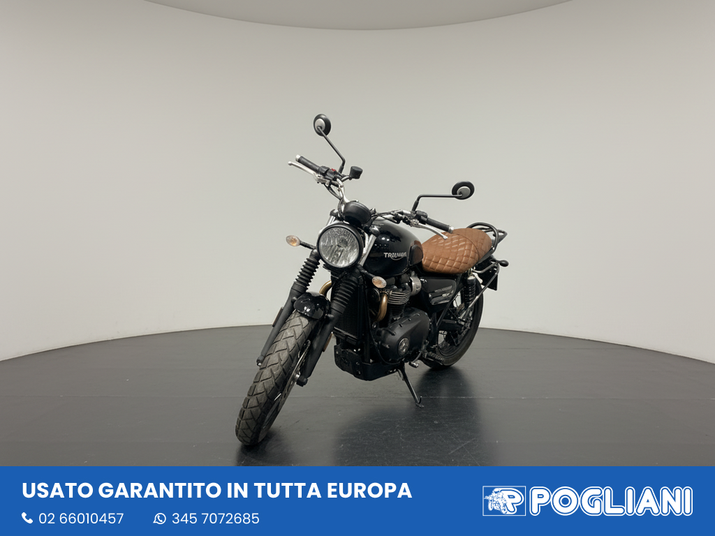 Envato labs image edit 2026 01 21 T170704 440