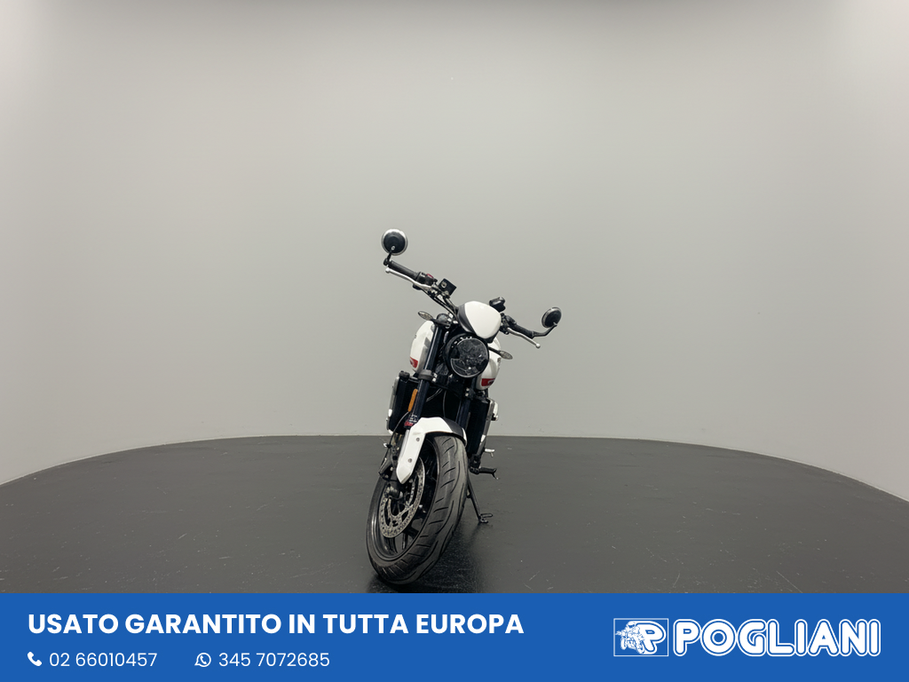 Envato labs image edit 2026 02 12 T152433 695