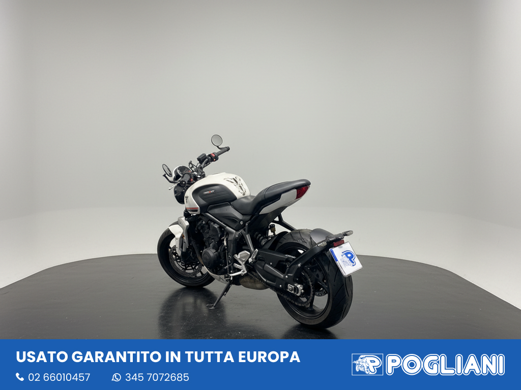 Envato labs image edit 2026 02 12 T153006 739