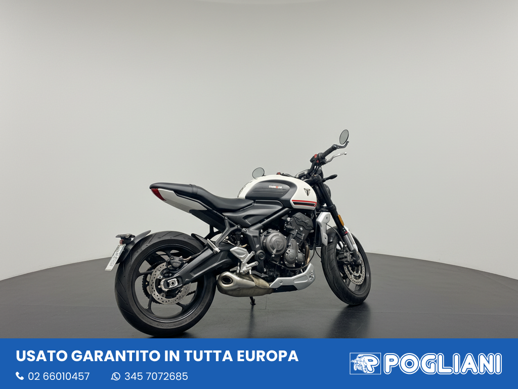 Envato labs image edit 2026 02 12 T153111 197