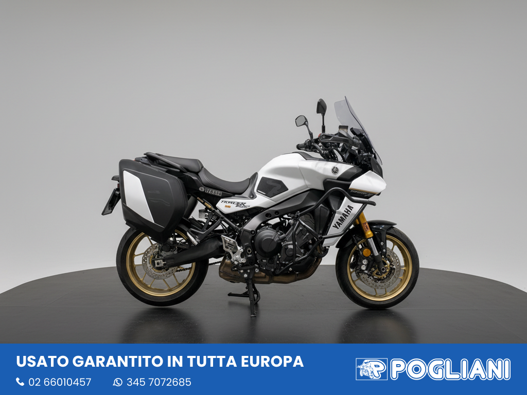 Envato labs image edit 2026 02 13 T183551 541