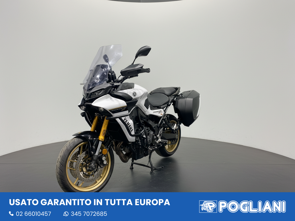 Envato labs image edit 2026 02 13 T183716 980