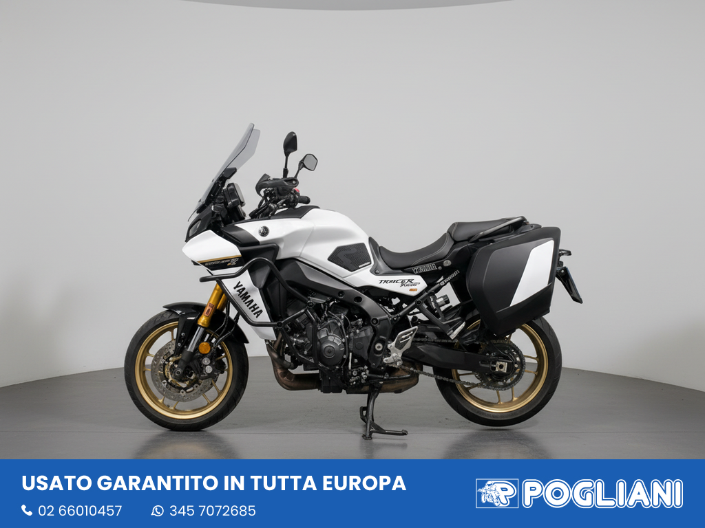 Envato labs image edit 2026 02 13 T183750 157