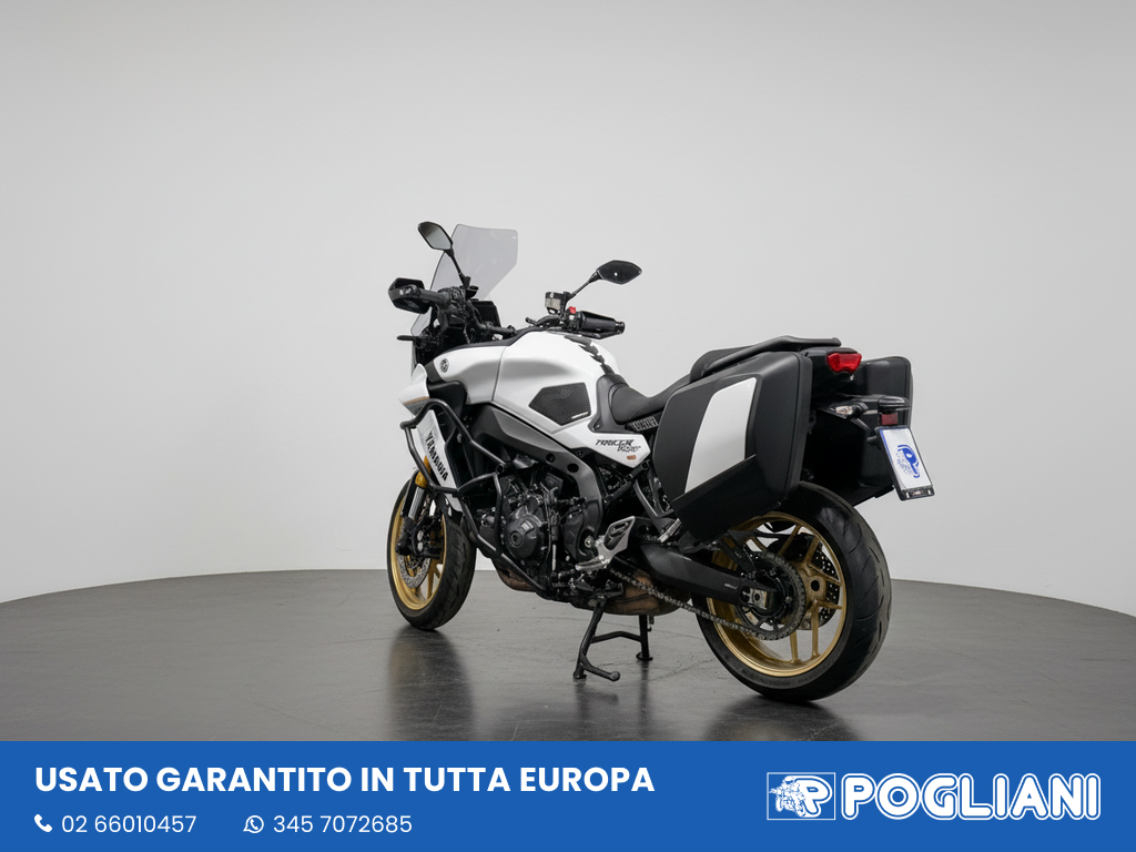 Envato labs image edit 2026 02 13 T183814 521