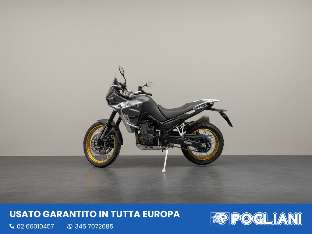 Envato labs image edit 2026 02 17 T173931 391