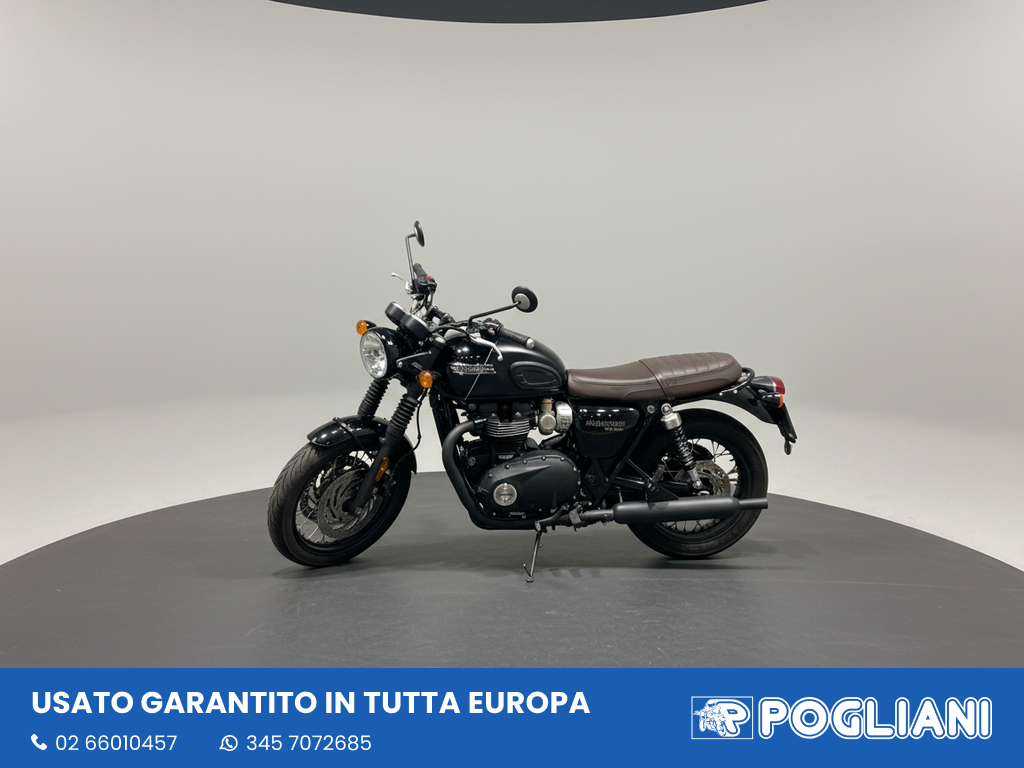 Envato labs image edit 2026 02 19 T171457 082