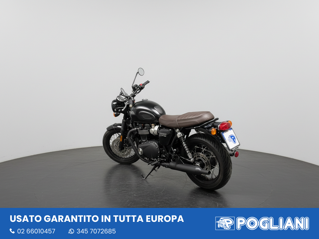 Envato labs image edit 2026 02 19 T171527 367