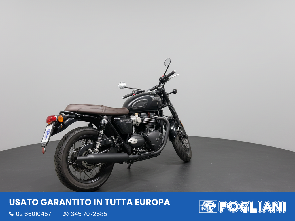 Envato labs image edit 2026 02 19 T171709 322