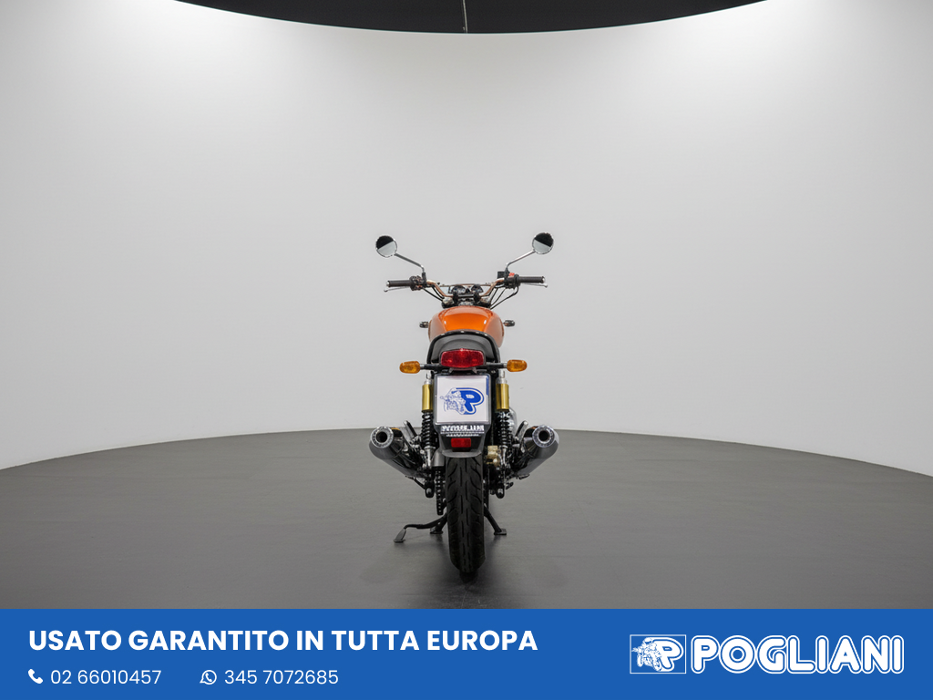 Envato labs image edit 2026 02 20 T175505 462