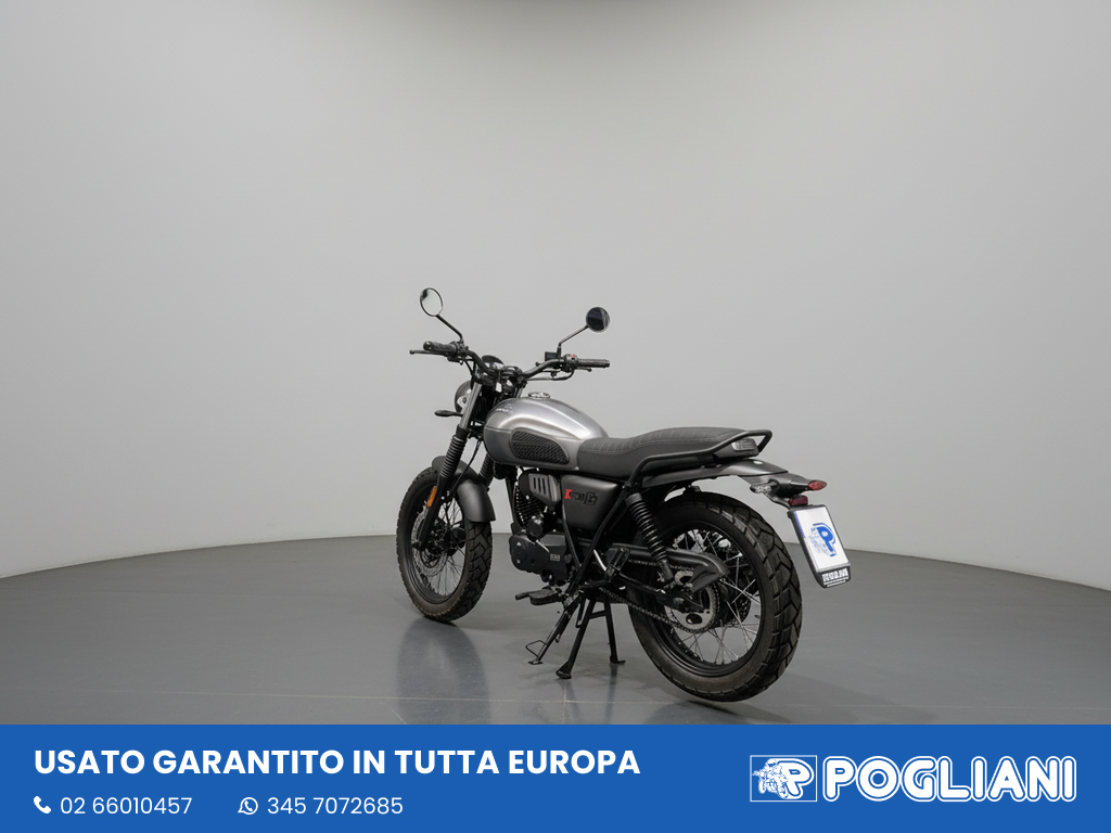 Envato labs image edit 2