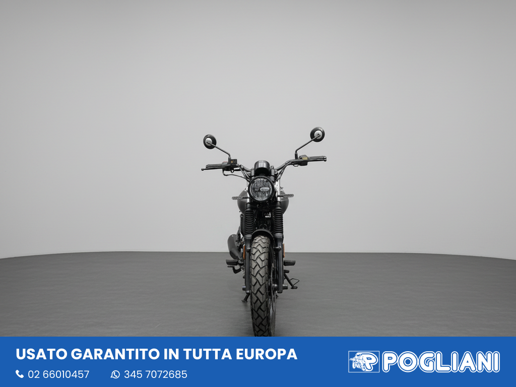 Envato labs image edit 5