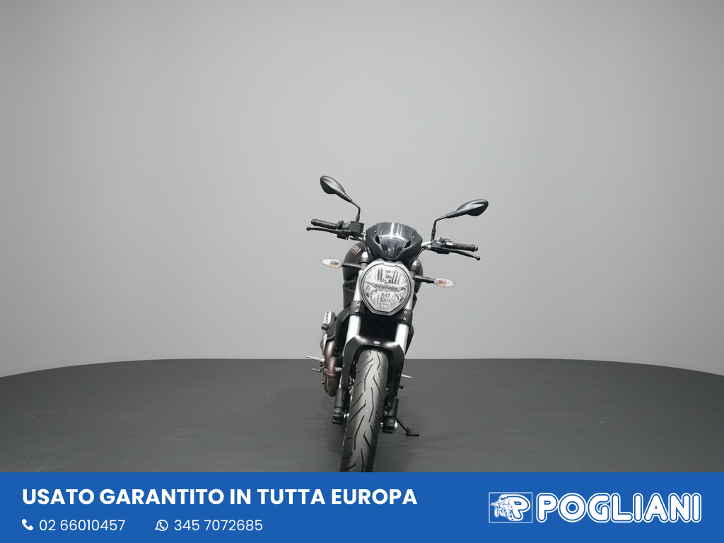 Envato labs image edit 2